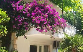 Apartments Irena